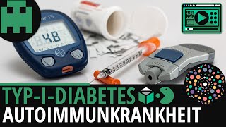 TypIDiabetes Autoimmunkrankheit│Biologie Lernvideo Learning Level Up [upl. by Lenwood]