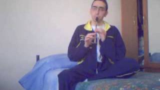 Braveheart main theme  Tin Whistle [upl. by Gothart]