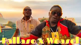 NEW MUSIC Weasel x Pallaso  Malamu Remix Coming Soon [upl. by Esiuole]