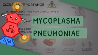 Mycoplasma Pneumoniae [upl. by Tsiuqram]