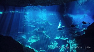 Cenote Diving The Best of Cenote Chac Mool [upl. by Mandle]