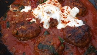 How To Cook Venison Venison Meatballs sour cream and paprikaTheScottReaProject [upl. by Roxy]