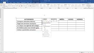 Cómo hacer un cronograma de actividades en Word [upl. by Dewayne]