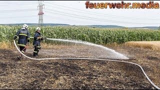 Feldbrand in Wagram erfordert den Einsatz von mehreren Feuerwehren [upl. by Nyroc327]