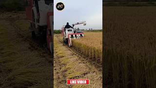 kubota AR70 combine harvester shorts kubota ytshorts [upl. by Nessa983]