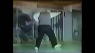 Bagua From Taiwan Archival Footage Kung Fu Old Footage [upl. by Inait]