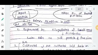 Soil Microflora  Whats soil Microflora  Type of Microorganism [upl. by Lavery408]