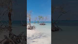 Cayo Jutías Cuba shorts caribbean viralvideo [upl. by Rossuck]