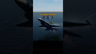 Avoid the Overshoot Win the Fight dcs simulation thrustmaster [upl. by Leighton]