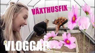 PRUTT  VLOGG 271 [upl. by Saturday]