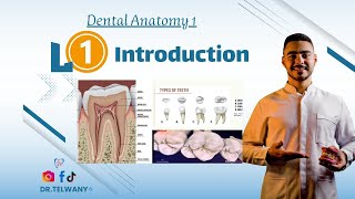 Lecture 1  overView Human Dentitions [upl. by Asum]