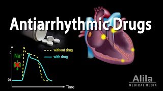 Antiarrhythmic Drugs Animation [upl. by Johnathon]