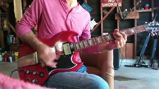 Seymour Duncan Antiquity humbucker demo [upl. by Chalmers]