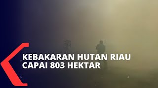 Kebakaran Hutan dan Lahan di Riau Meluas Heli Water Bombing Dikerahkan [upl. by Calbert]