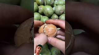 ♥️♥️fruit walnut food walnuttree satisfying jackfruit ytshorts yummy shorts [upl. by Lillian903]