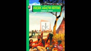 seslikitap  Küçük Ağaçın Eğitimi  Bölüm 1 Küçük Ağaç [upl. by Lamrert]