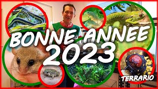 PROJETS TERRARIUMS AQUARIUMS ET BIOTOPES 2023 MyYearOnYouTube [upl. by Pearson]