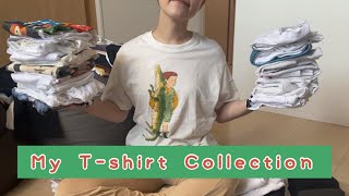 【わたしのTシャツコレクション】50着以上紹介！おすすめのたたみ方も🌼 [upl. by Dniren]