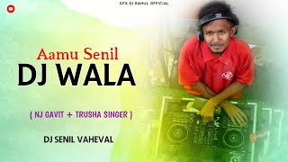 AAMU SENIL DJ WALA  LAILA TUR TONE  DJ SENIL VAHEVAL [upl. by Enerehs]