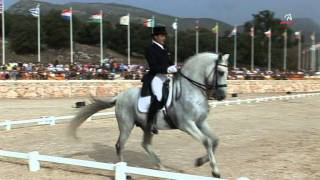 FUEGO DE CARDENAS Campeonato España Doma Clásica 2008 Gran Premio Especial [upl. by Ahsoem]