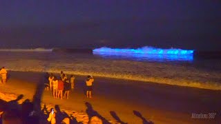 Bioluminescent Waves  Glowing Neon Blue Waves at SoCal Beaches  Avatarlike Waves [upl. by Minica347]