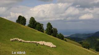 Rasinari Sibiu [upl. by Eniarol]