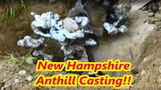 Ant Hill Casting with Molten Aluminum [upl. by Nelg534]