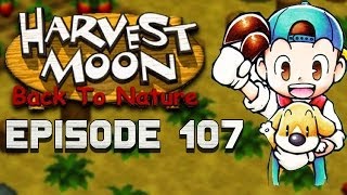 Strawberry Seeds  Harvest Moon  Back to Nature EP107 [upl. by Ilyse303]