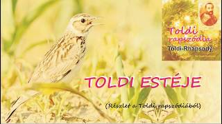 TOLDI RAPSZÓDIA RÉSZLET III ‒ TOLDI ESTÉJE [upl. by Yug682]