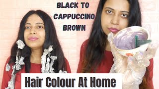 Hair Colour At Home  Hair highlight cappuccino brown  Streax highlighting kit [upl. by Mctyre30]