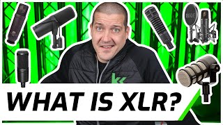 What Is A XLR Microphone [upl. by Yrannav4]