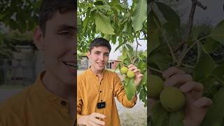 walnut மரம் பாருங்க Russian boy speaking Tamil [upl. by Tiram680]