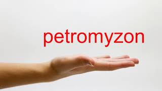 How to Pronounce petromyzon  American English [upl. by Witkin305]