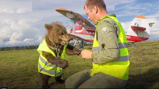 When a Pilot Found A UNEXPECTED Friend For Life In his Cockpit [upl. by Dnyletak]