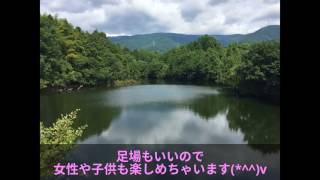 【和歌山県橋本市編①】 野池で気軽に親子やカップルでバス釣り♪ポイント紹介（地図付き） [upl. by Derte]