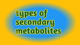 types of secondary metabolites  terpenesphonolic compoundnitrogen cantaining compound csir net [upl. by Brinkema]