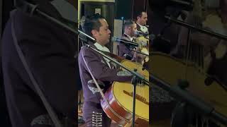 Mariachi Imperial Azteca  Puente Viejo Colosio [upl. by Ttelrats]