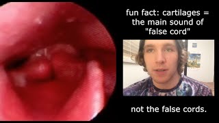 HowTo Scream False CordFry Throat Singing Method Summary 2016 [upl. by Orapma554]