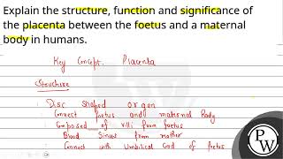 Explain the structure function and significance of the placenta between the foetus and a matern [upl. by Nylareg]