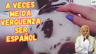 🆘 ¿QUE 5 ENFERMEDADES SEXUALES TRANSMITEN LOS PERROS A LOS HUMANOS EN ESPAÑA 🆘 [upl. by Parrisch]