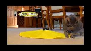 Cats Meow  Official Commercial  Top TV Stuff [upl. by Marka]