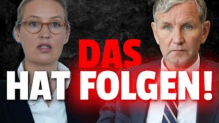 💥HEFTIGE Folgen für AfD Freie Wähler will Mandat ABGEBEN [upl. by Eradis]