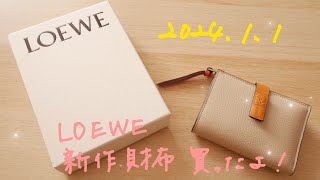 P1 LOEWE新作財布買ったよ！ [upl. by Maitland681]