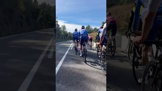 When Team SD Worx amp AlpecinDeceuninck become your cycling companions for a couple of minutes 😅 [upl. by Onfroi]