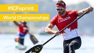 REPLAY  Friday Heats  2015 ICF Canoe Sprint World Championships  Milan [upl. by Yellehs]