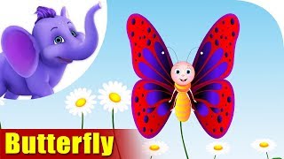 ButterFly  A Bug Song  4K  Appu Series [upl. by Llebasi]