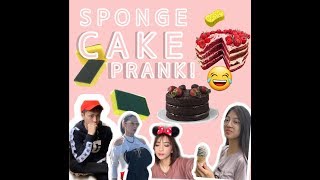 SPONGE CAKE PRANKDISHWASHING FOAMPRANK SIBLING [upl. by Marjorie]