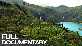 Amazing Quest Stories from Sri Lanka  Somewhere on Earth Sri Lanka  Free Documentary [upl. by Naasar]