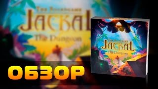 Обзор настольной игры quotШакал Подземельеquot  Jackal The Dungeon board game review [upl. by Ettevahs]