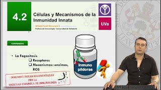 42 CÉLULAS Y MECANISMOS DE INMUNIDAD INNATA [upl. by Fabrienne]